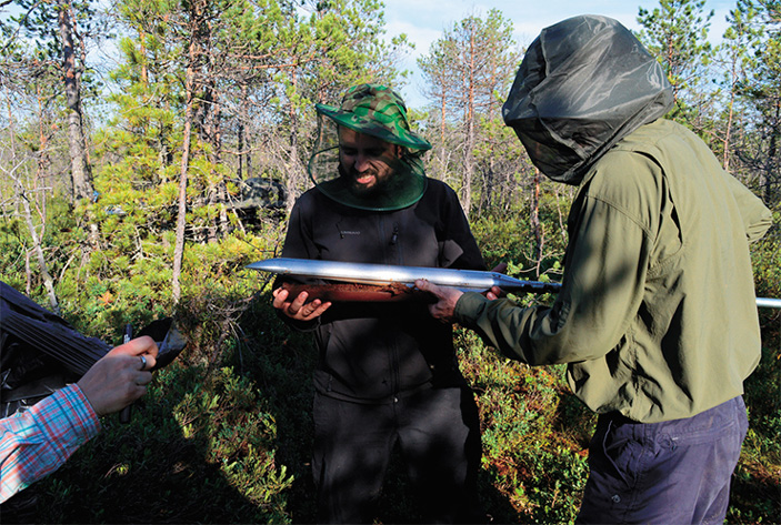 Российско-британско-немецкая исследовательская команда на Большом Васюганском болоте