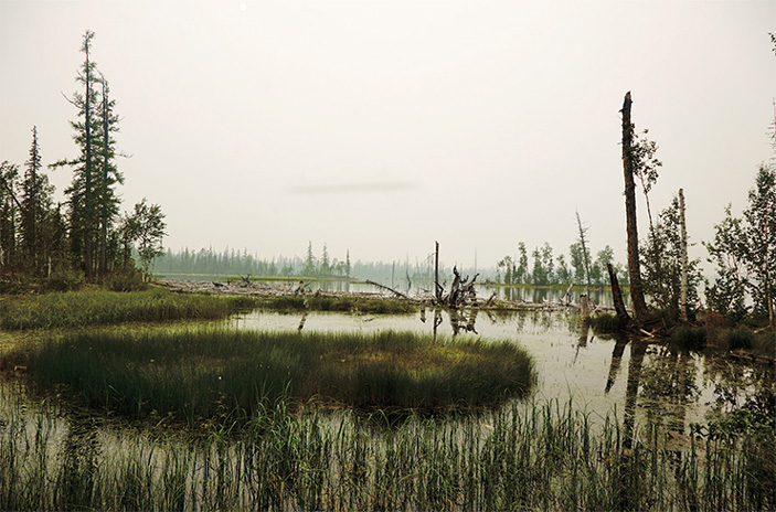 Алтай — место, где горы соседствуют с болотами. На фото — болото на р. Курейке, правом притоке Енисея