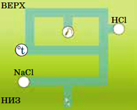 Ум без мозга, или Почему демократия лучше диктатуры
