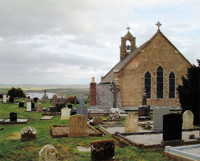 изолят стрептомицетов