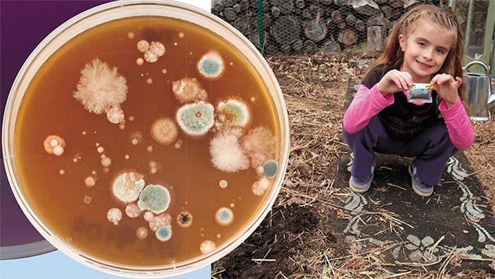 Джейд, юная участница программы Citizen Science Discovery Group Университета Оклахомы, демонстрирует пакет с образцом почвы, собранной на заднем дворе.