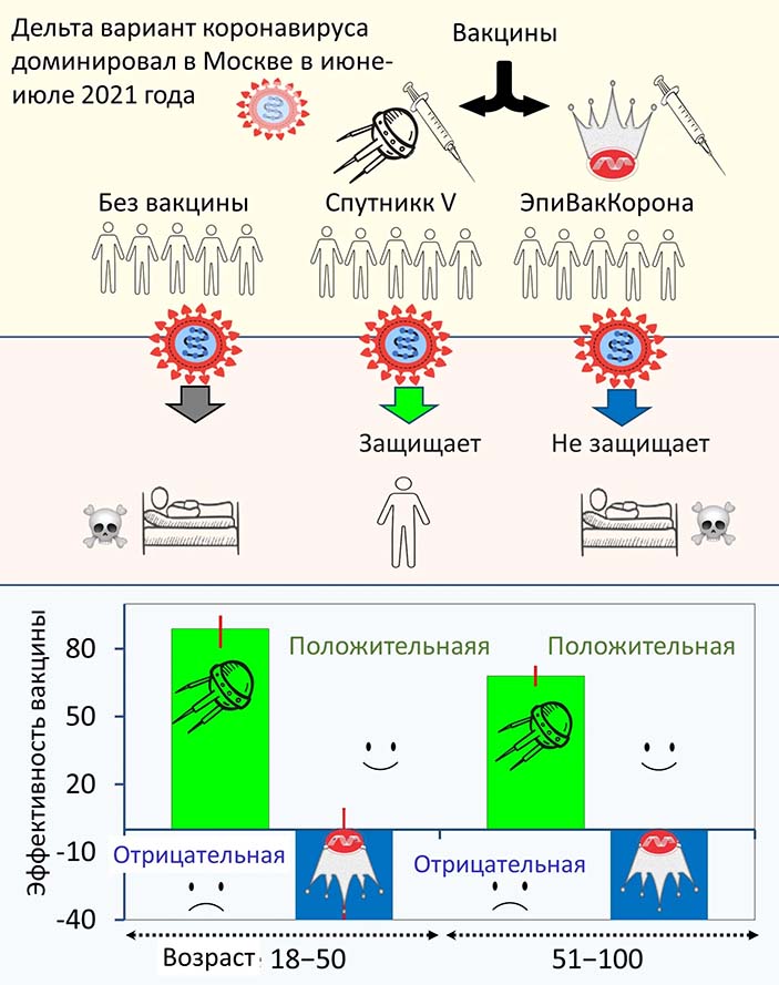 «Спутник V» и «ЭпиВакКорона»