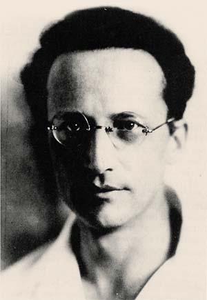 Эрвин Шрёдингер, 1929 год