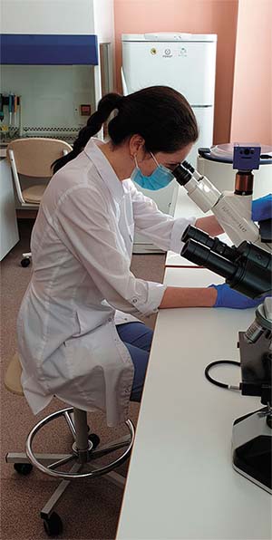 Клеточная иммунотерапия: от цирроза до инсульта