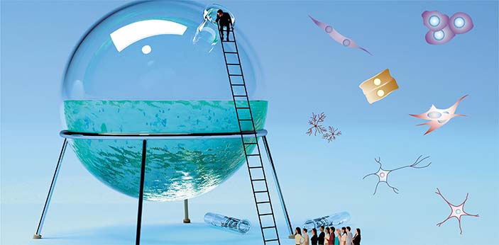 Клеточная иммунотерапия: от цирроза до инсульта