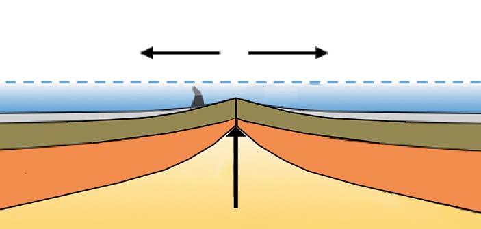 Срединно-океанический хребет