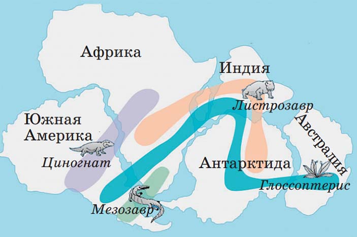 Ископаемые в Гондване
