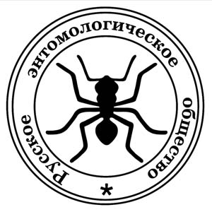 Эмблема РЭО — муравей
