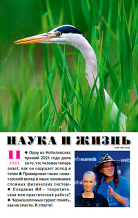 «Наука и жизнь» №11, 2021