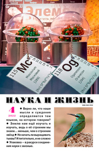 «Наука и жизнь» №4, 2022