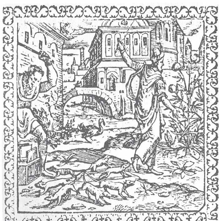 Явление крысиного короля