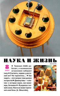 «Наука и жизнь» №8, 2022