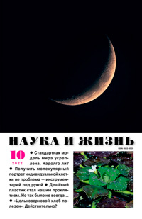 «Наука и жизнь» №10, 2022