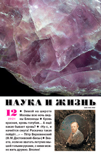 «Наука и жизнь» №12, 2022