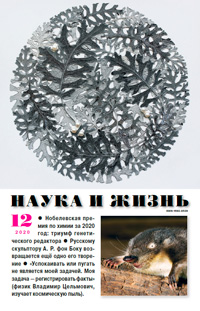 «Наука и жизнь» №12, 2020