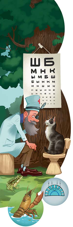 Телескоп и небо 5