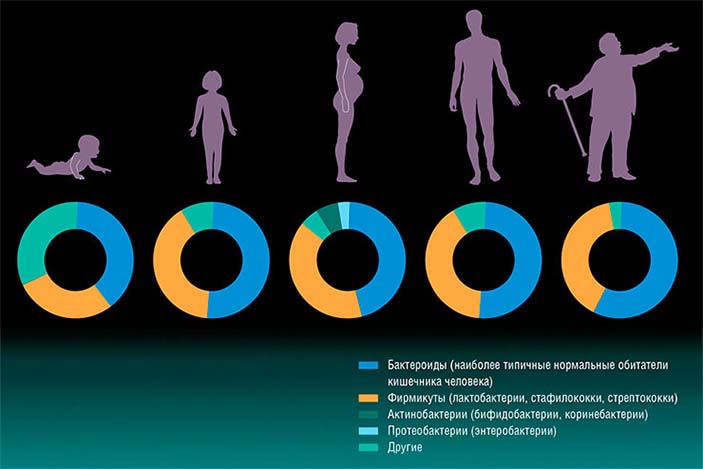 C возрастом микробиом толстого кишечника меняется