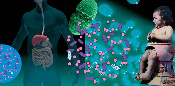 Как управлять микробами, когда они управляют нами