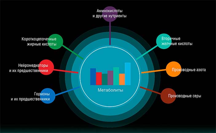 Метаболиты фекальных масс – это относительно простые вещества, которые синтезируются микроорганизмами кишечника или поступают с пищей