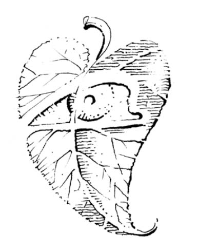 Глаза — зеркало души