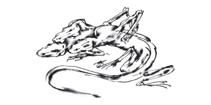 Рис. 3. Протодракон. Боковые лапы поджаты вверх, чтобы не мешали. Головы уложены – он отдыхает