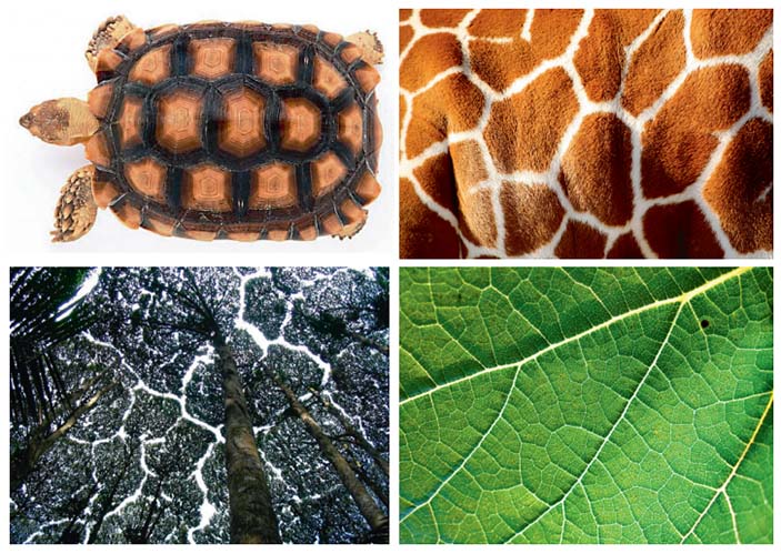 Диаграммы Вороного 5