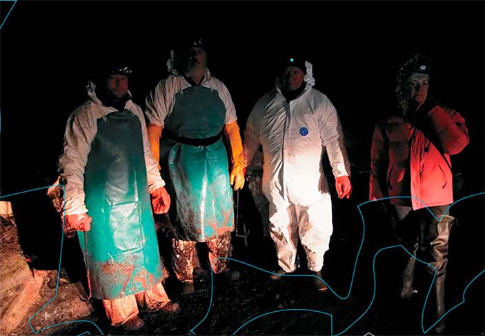 У погибшего кашалота были взяты зубы, а также образцы тканей для гистологического и генетического анализов