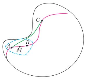 Рис. 1. Геодезическая — локально кратчайшая линия