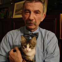 Про котов и кошек