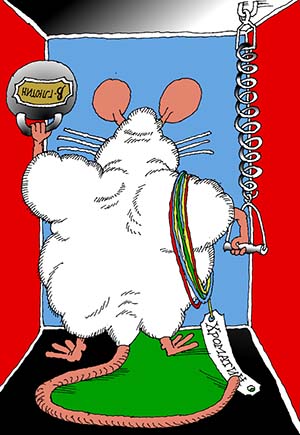 Лишний вес и тренированный иммунитет