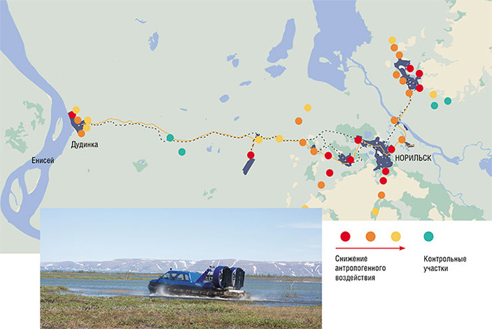 Учетные работы по оценке обилия мелких видов млекопитающих Норильского промышленного района были проведены на 43 исследовательских полигонах