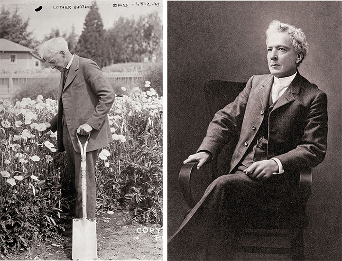 Лютер Бербанк