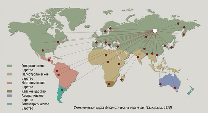 В саду Басниных успешно культивировались растения из всех флористических царств и областей Земли