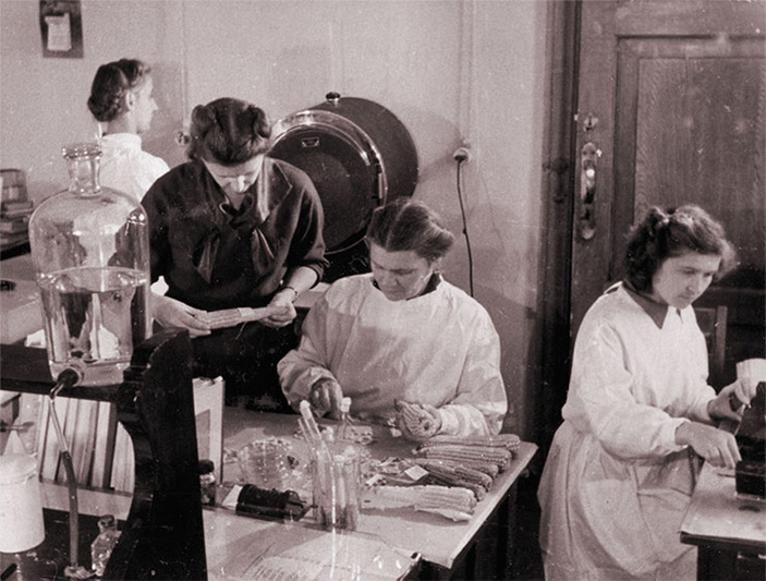 Отбор семян кукурузы для обработки микроэлементами в лаборатории Ботанического сада