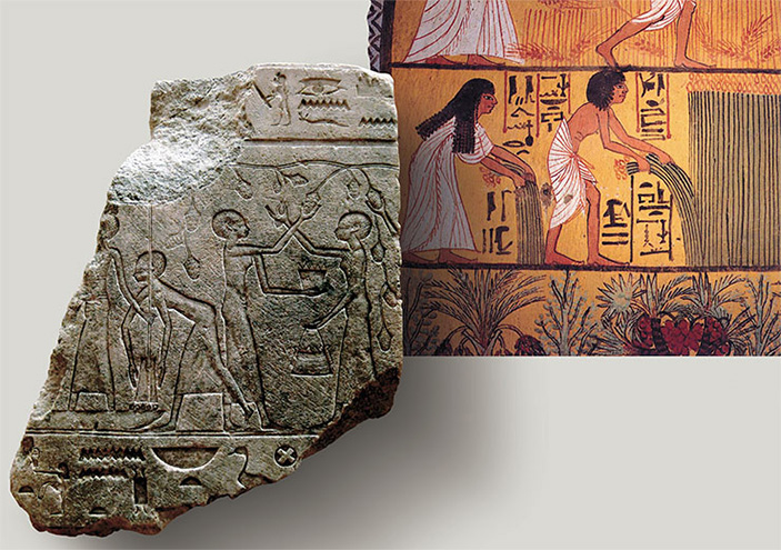 Древние египтяне оставили множество археологических свидетельств высокого уровня развития земледелия