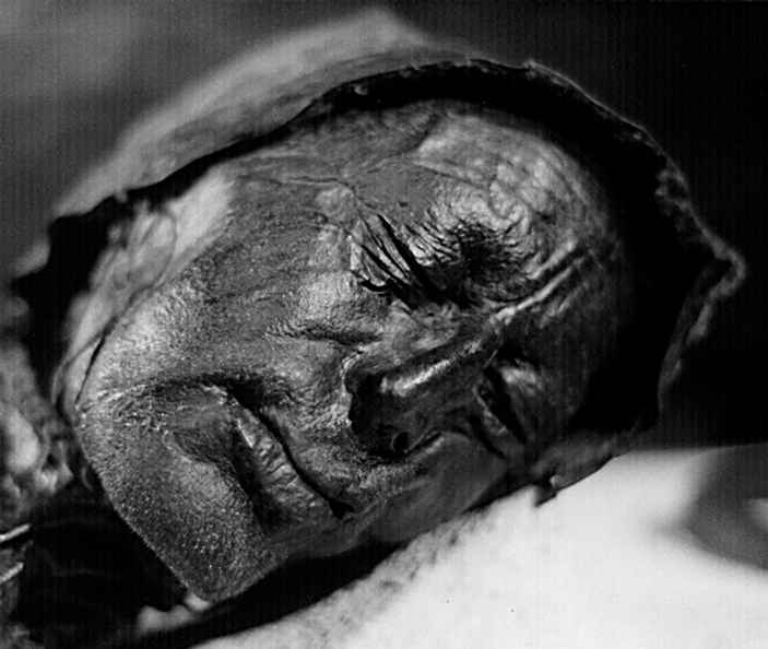 Человек из Толлунда