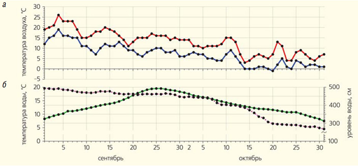 Температура воздуха, воды и уровни Амура во время перемещения дальневосточных жаб