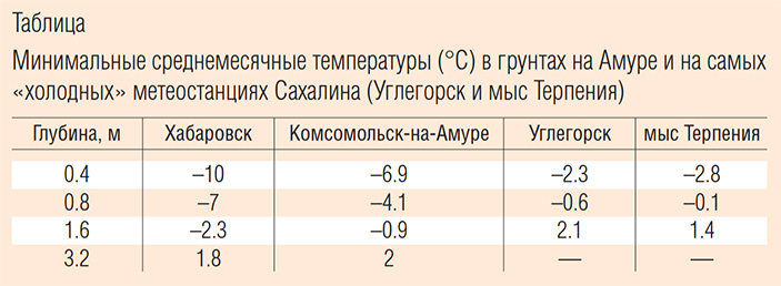 Дальневосточная жаба: «секрет Полишинеля» по-амурски 3