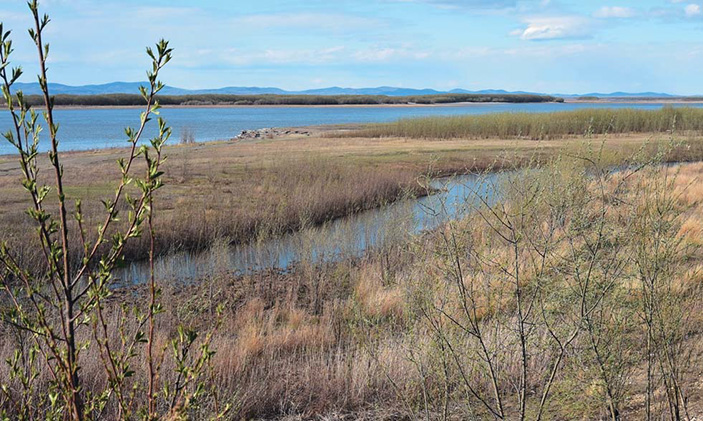 Протоки Иннокентьевская и Маленькая