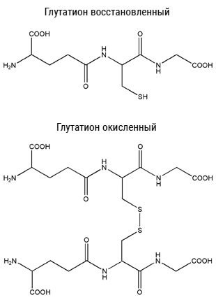 Глутатион — природный антиоксидант