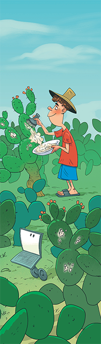 Красная краска из червяков 6