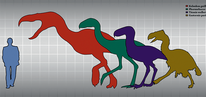 Плавучие острова 8