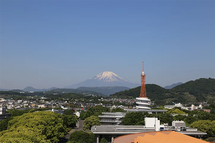 Университет Токай