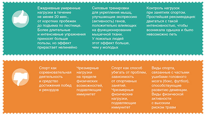 «Секрет продления жизни в том, чтобы ее не укорачивать» 12