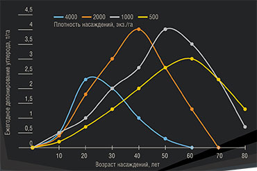 Модель депонирования углерода сосновыми насаждениями с разной плотностью посадки на отвалах вскрышных пород угольной промышленности