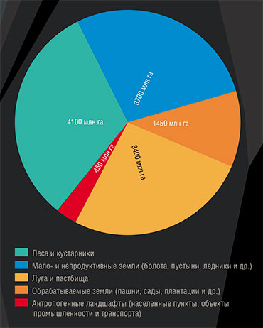 В структуре мирового земельного фонда на сельскохозяйственные угодья приходится лишь 37%