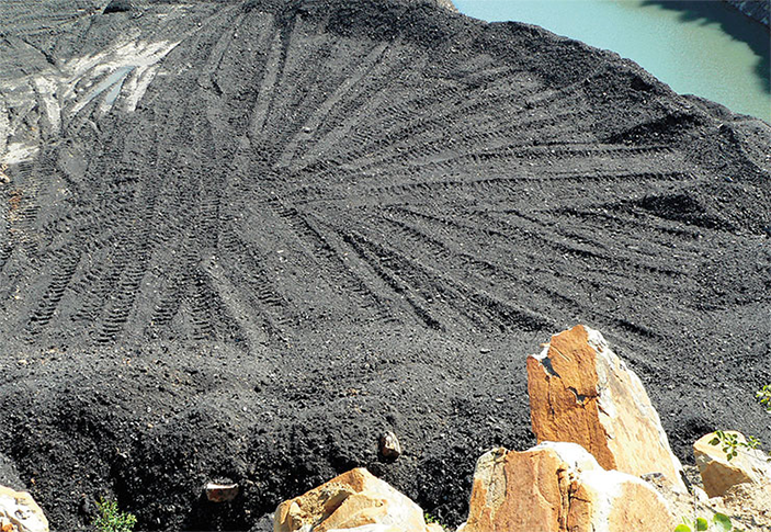 «Шагреневая кожа» Земли