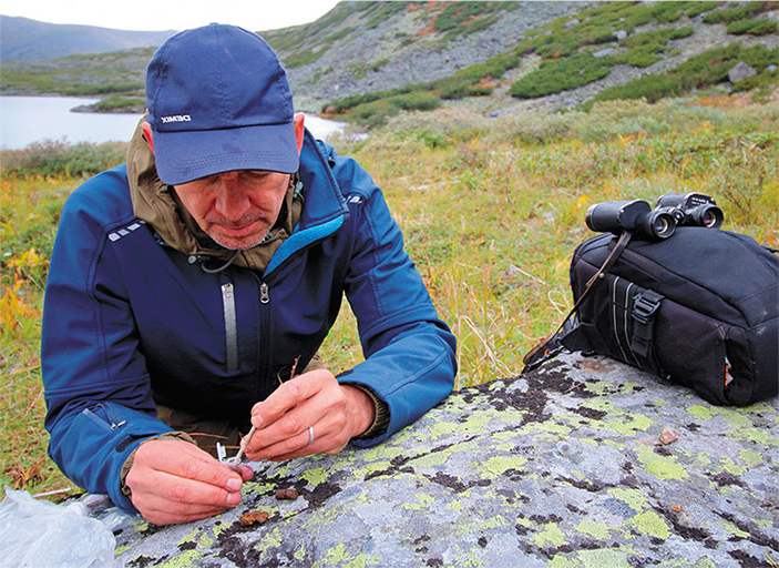 Сбор проб экскрементов сурков для генетического анализа