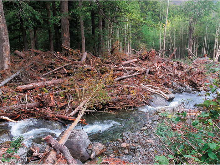 «Не видишь сурка? А он есть!»