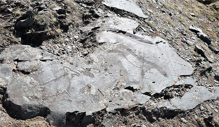 Петроглифы, выполненные в типичном калгутинском стиле